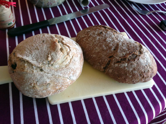 Brot von Gustini