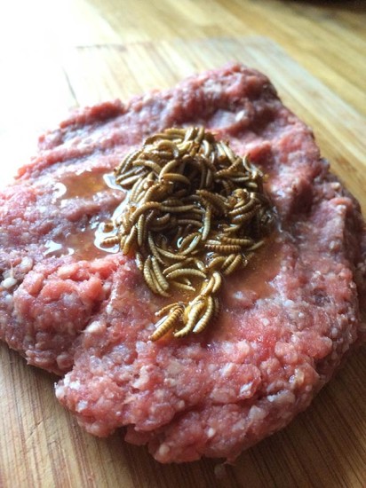 Hackfleisch mit Mehlwürmern