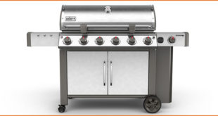 Weber Genesis II Artikelbild