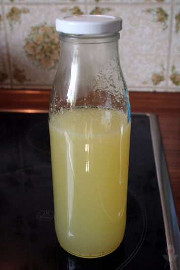 Zitronenlimonade ASA-Zitronenpresse Sirupflasche