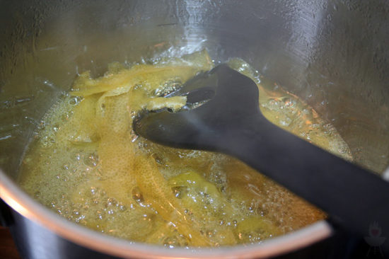 Zitronenlimonade ASA-Zitronenpresse Sirup kochen