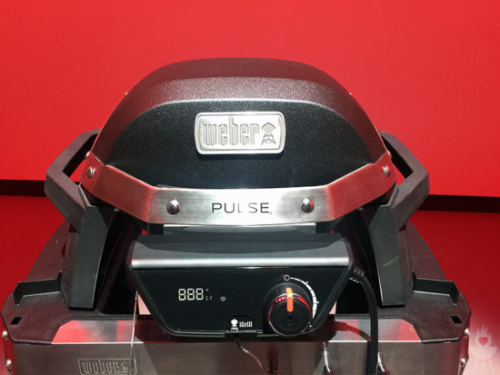 Weber Pulse 1000