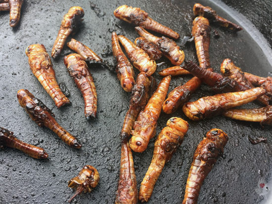 Heuschrecken vom Grill geroestet