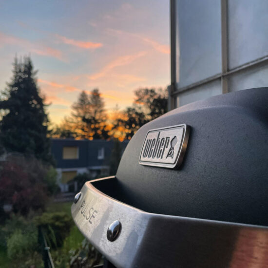 Weber PULSE 1000